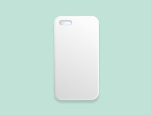 cases
