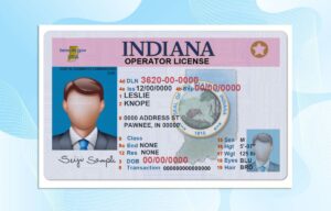 Indiana Drivers License Template