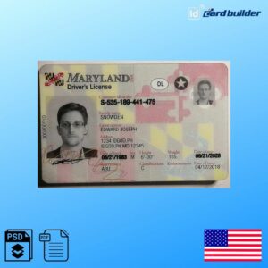 Maryland Drivers License Template
