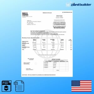 Navy Federal Bank Statement Template
