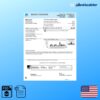 PGE Utility Bill Template