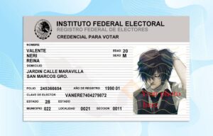Mexican IFE Card Template PSD