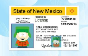 New Mexico Drivers License Template PSD FREE