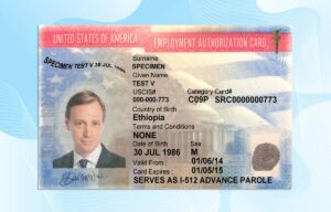 USA Employment Authorization Card Template PSD