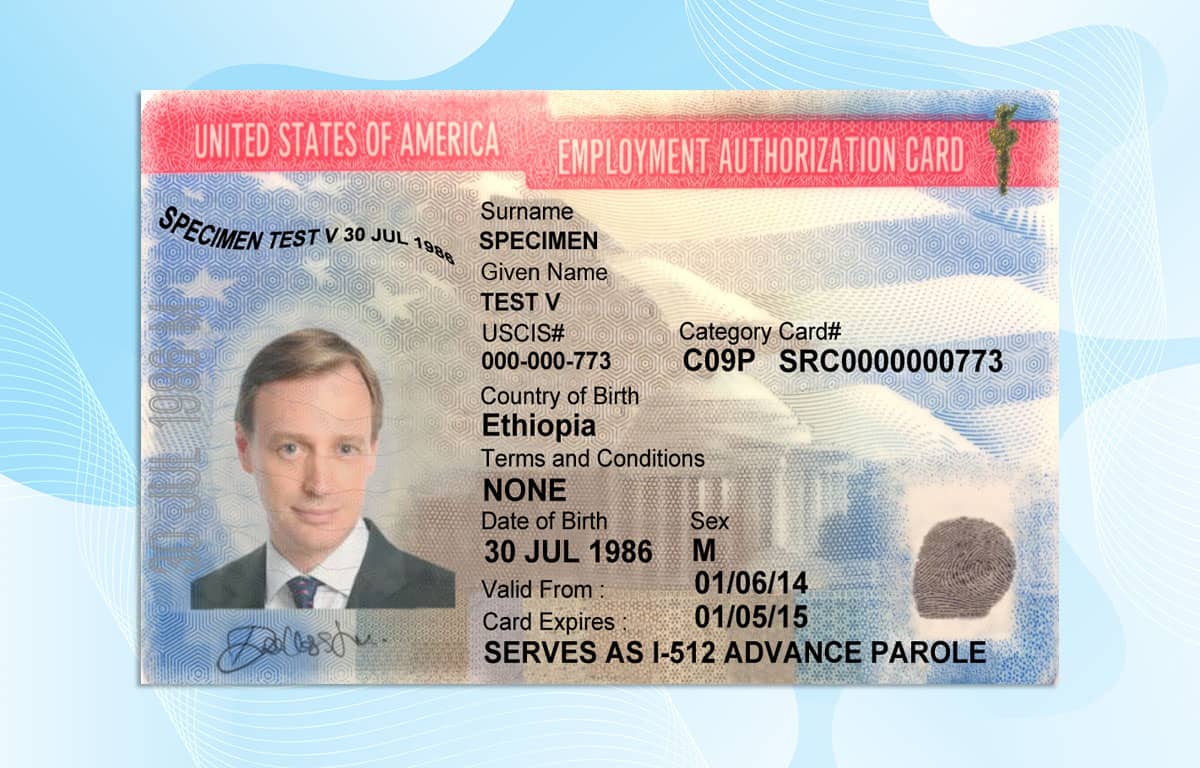 SSN Card Template FREE