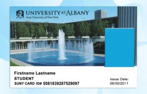 University at Albany ID Template PSD