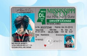 Mississippi Drivers License Template PSD FREE