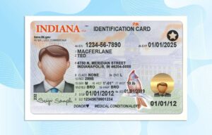 Indiana Drivers License Template New