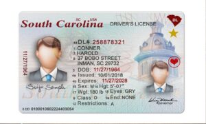 South Carolina DL OLD