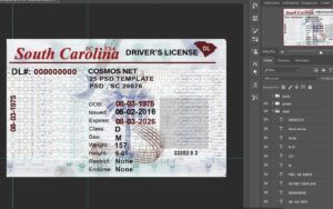South Carolina DL OLD