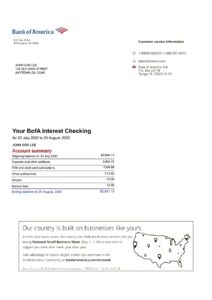 bank of america statement
